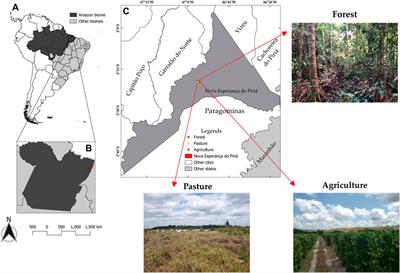 How does land use change affect the methane emission of soil in the Eastern Amazon?